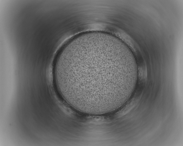 X0000111830676200908061156
