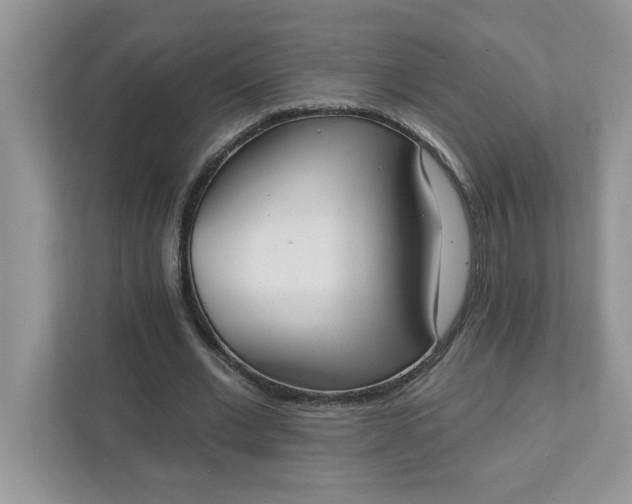 X0000111830677200908061156