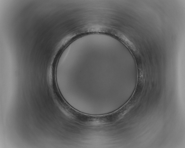 X0000111830678200908061156