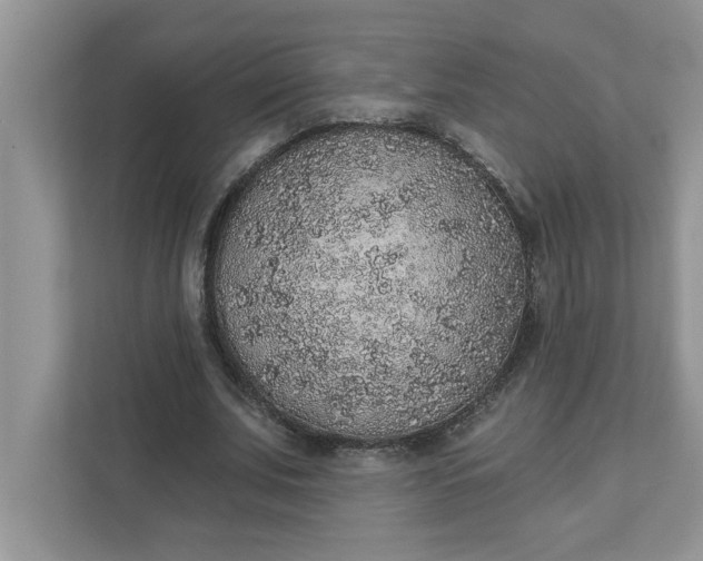 X0000111830679200908061156