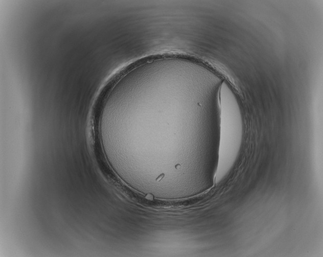 X0000111830680200908061156