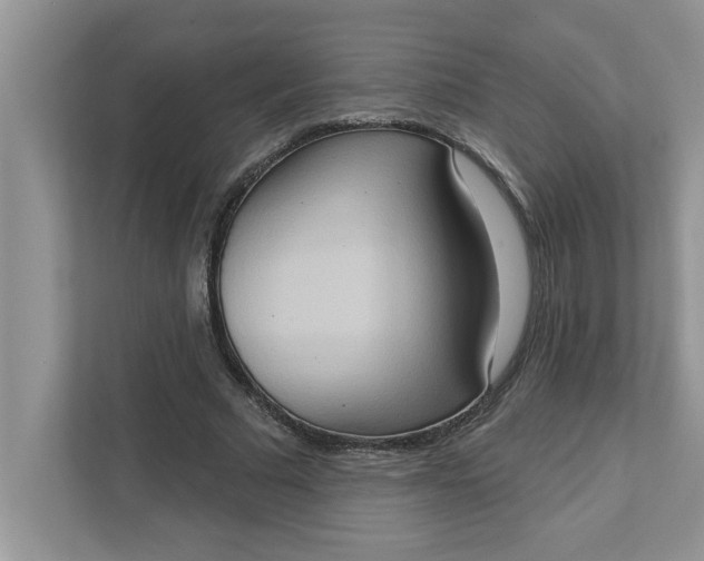 X0000111830681200908061156