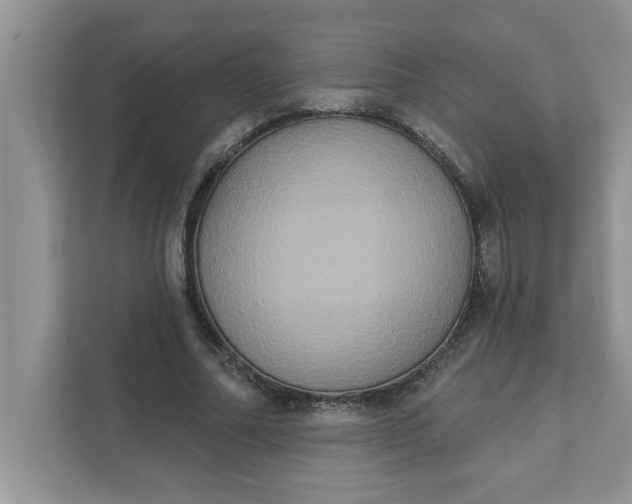 X0000111830682200908061156