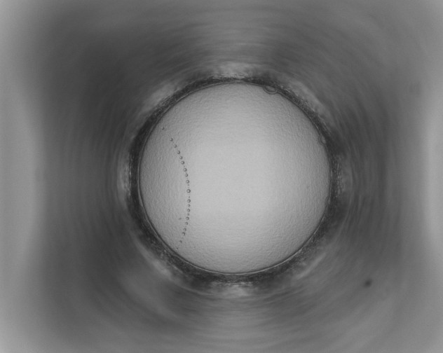 X0000111830683200908061156
