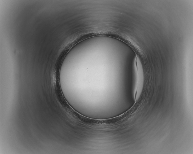 X0000111830685200908061156