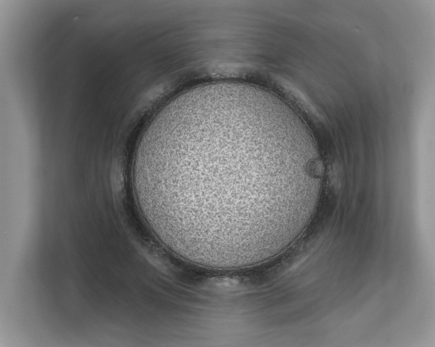X0000111830687200908061156