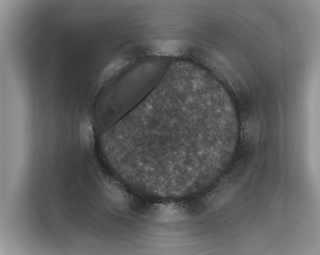 X0000111830688200908061156