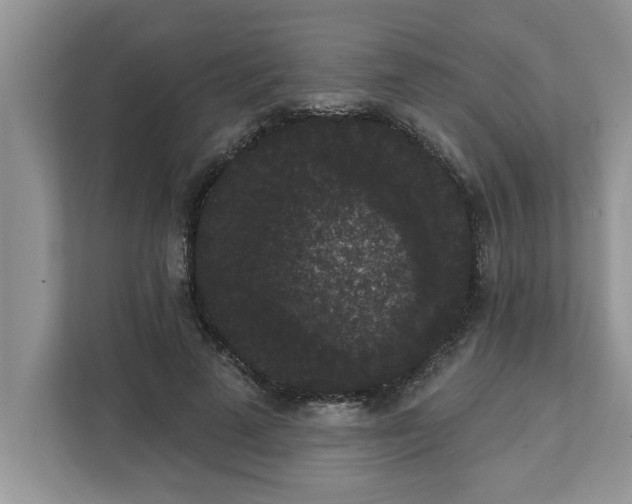 X0000111830689200908061156