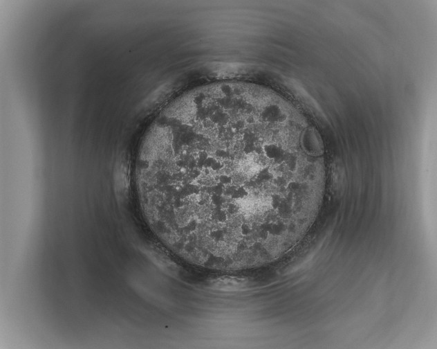 X0000111830691200908061156