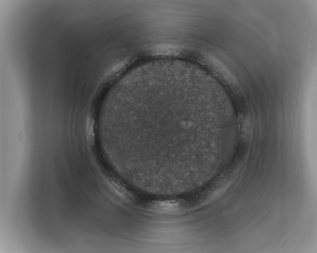 X0000111830692200908061156