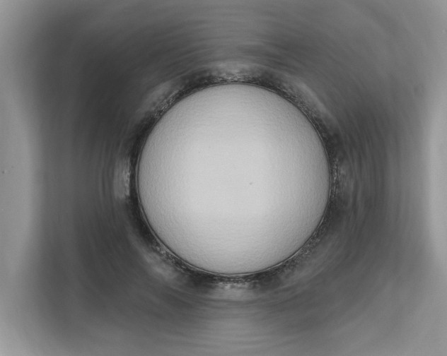 X0000111830694200908061156