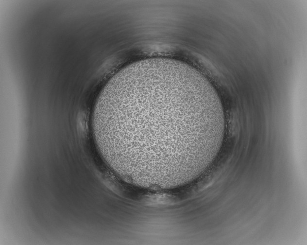 X0000111830695200908061156