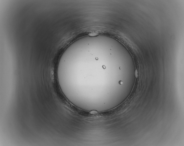 X0000111830696200908061156