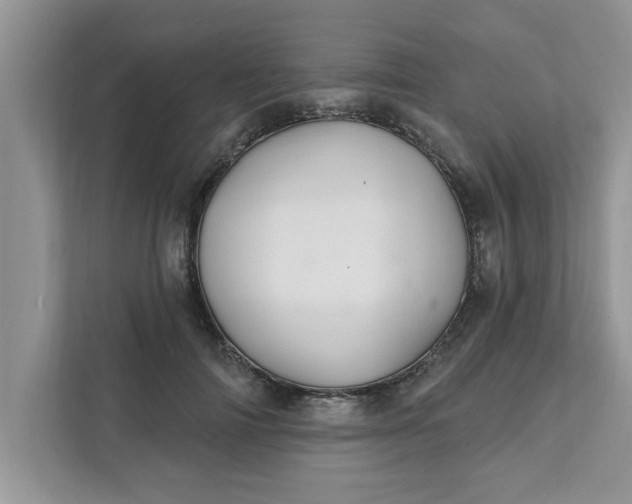 X0000111830698200908061156