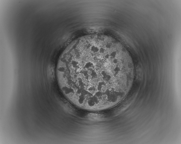X0000111830699200908061156