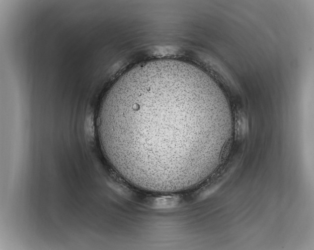 X0000111830700200908061155