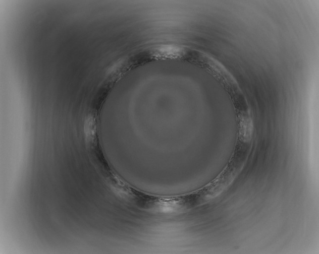 X0000111830701200908061155