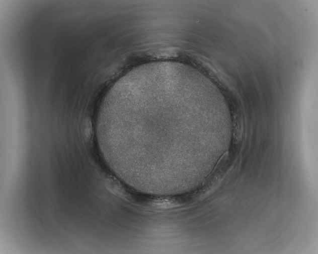 X0000111830704200908061155