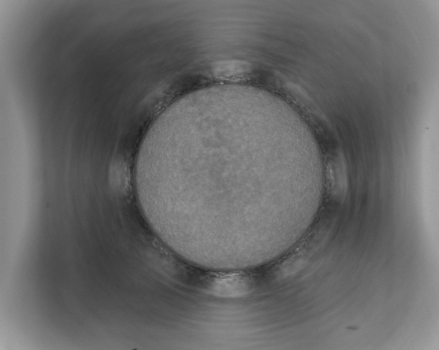 X0000111830705200908061155