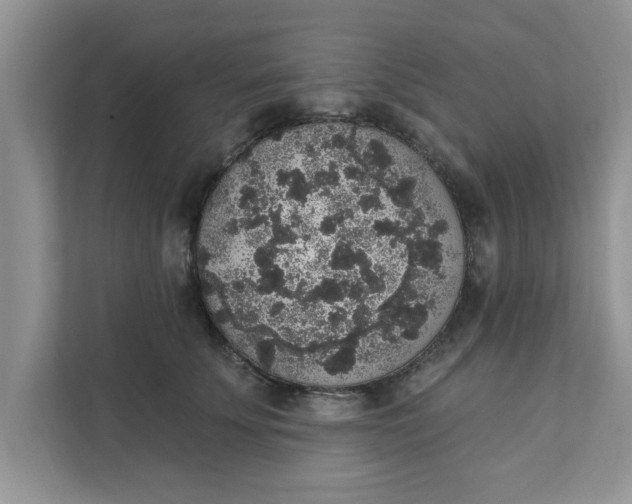 X0000111830707200908061155