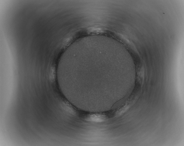 X0000111830708200908061155