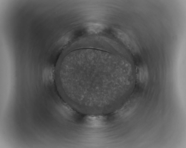 X0000111830712200908061155