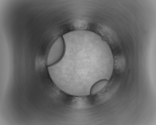 X0000111830713200908061155