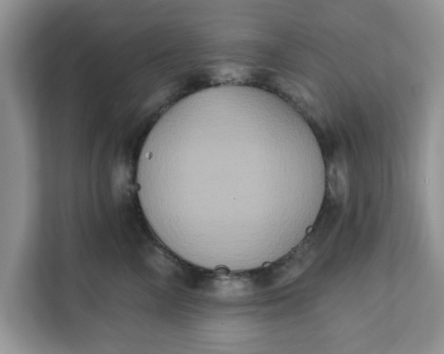 X0000111830714200908061155