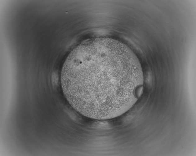 X0000111830715200908061155