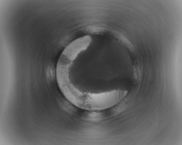 X0000111830718200908061155