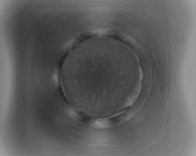 X0000111830720200908061155