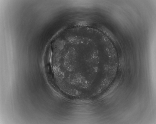 X0000111830722200908061155