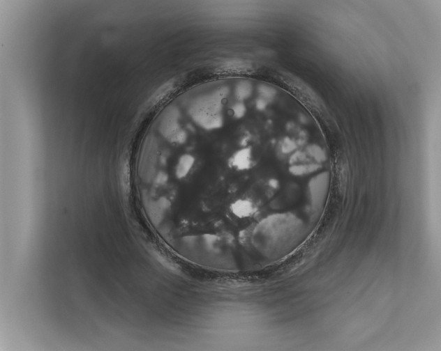 X0000111830729200908061155