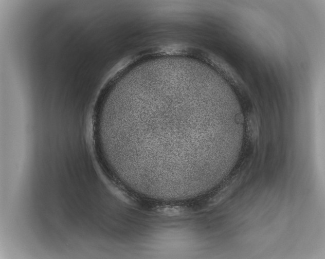 X0000111830730200908061155
