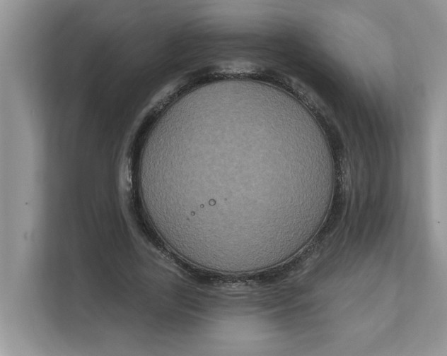 X0000111830731200908061155