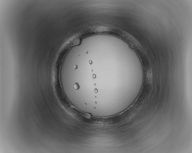 X0000111830732200908061155