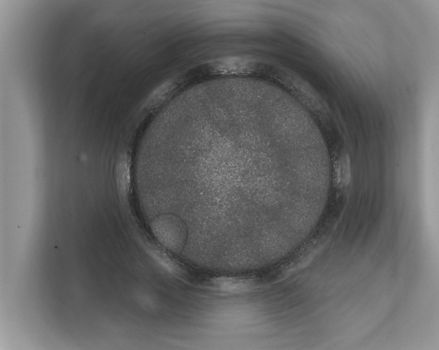 X0000111830733200908061155