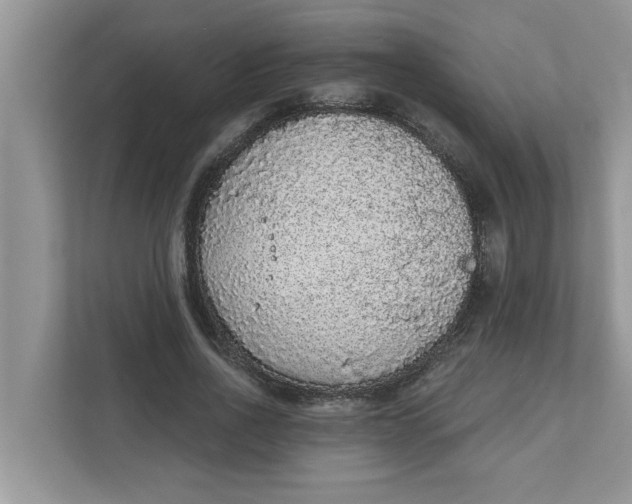 X0000111830734200908061155