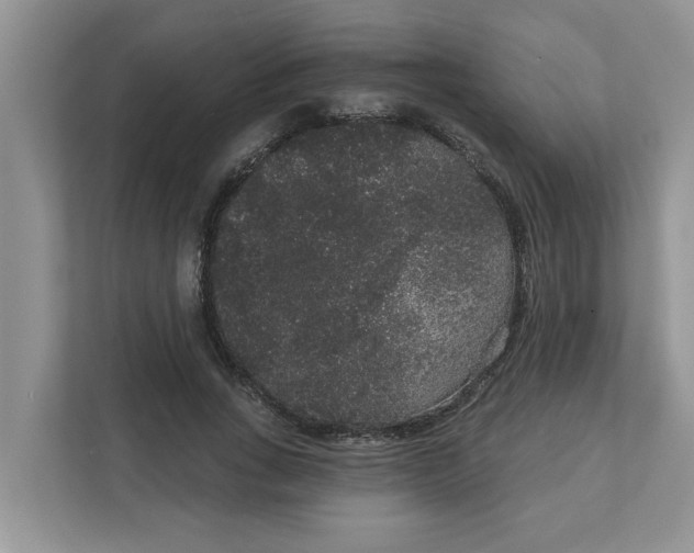 X0000111830735200908061155