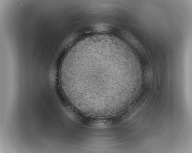 X0000111830736200908061155