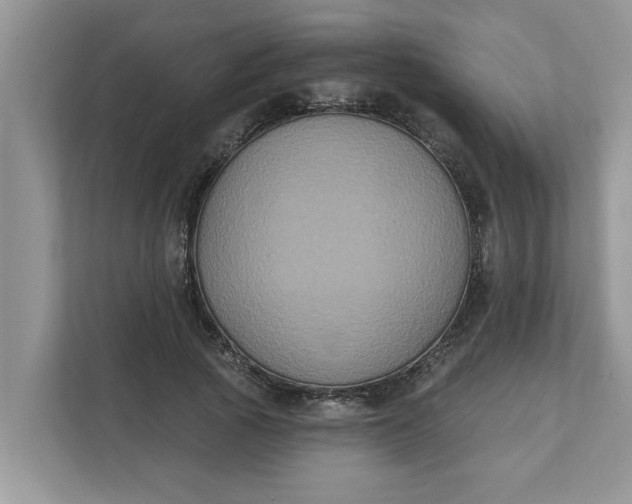 X0000111830737200908061155