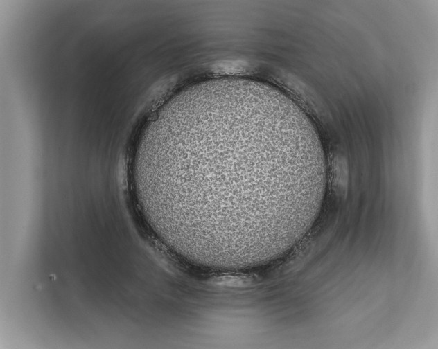 X0000111830738200908061155