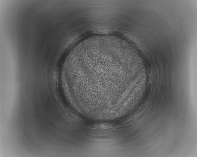 X0000111830739200908061155