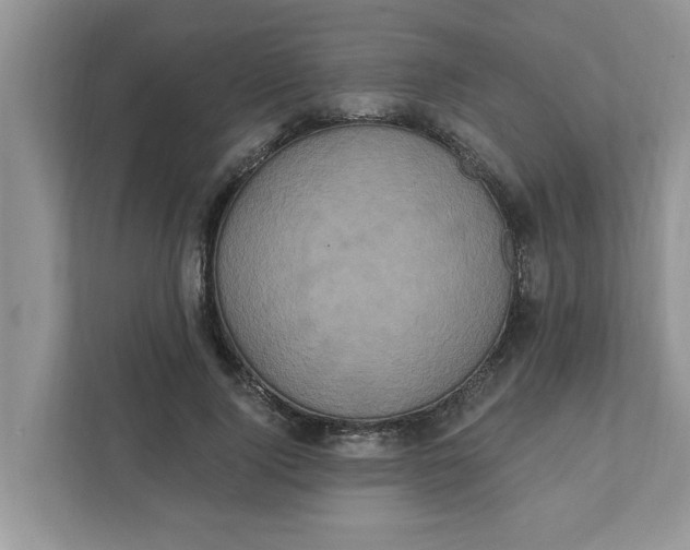 X0000111830740200908061155