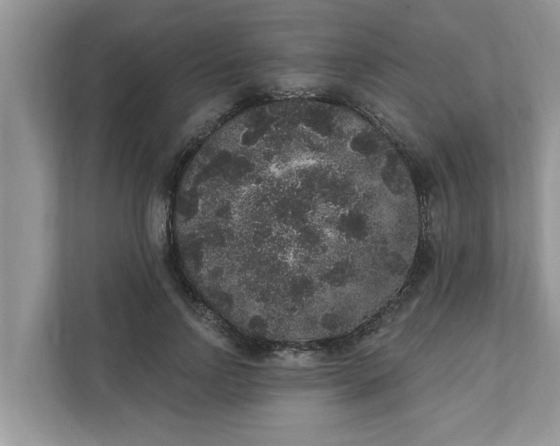 X0000111830742200908061155
