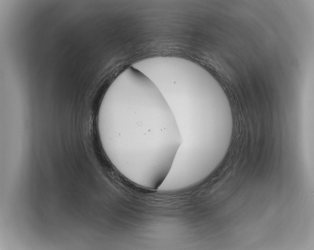 X0000111830744200908061155