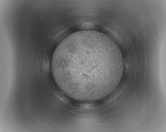 X0000111830745200908061155