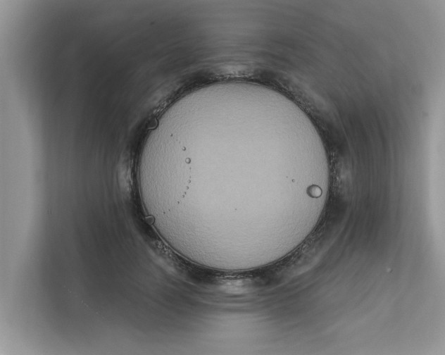 X0000111830746200908061155