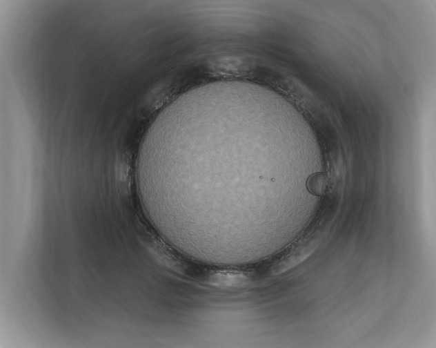 X0000111830749200908061155