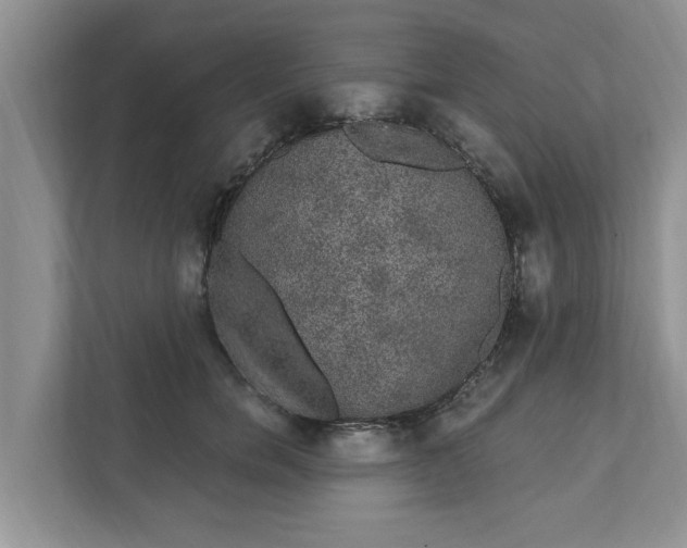 X0000111830750200908061155